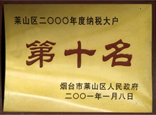 2002年莱山区纳税大户第十名