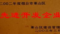 2002年莱山区先进开发单位